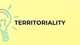 What is the meaning of the word TERRITORIALITY [upl. by Ariday326]