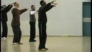 Chen Pan Ling Tai Chi Form 1st part [upl. by Bobby567]