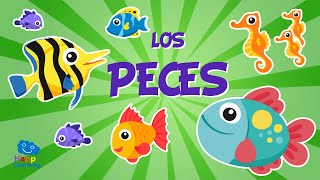 Los Peces 🐟🐠🐡  Vídeos Educativos para Niños [upl. by Biddie512]