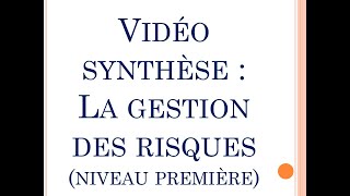 SES  Vidéo synthèse chapitre quotLa gestion des risquesquot Première [upl. by Akerboom427]