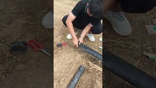 lawn irrigation drip spray irrigation hose tape use tips shorts subscribe tricks seeds [upl. by Wulf]