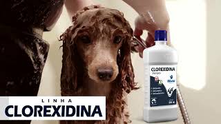 Linha Clorexidina World Veterinária [upl. by Hoskinson]