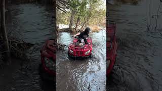 Arctic cat 400 in the swamp canada mud fun atv [upl. by Nesmat]