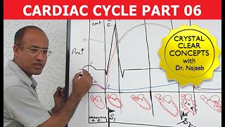 Cardiac Cycle  Systole amp Diastole  Dr Najeeb Part 68 [upl. by Ahtebbat36]