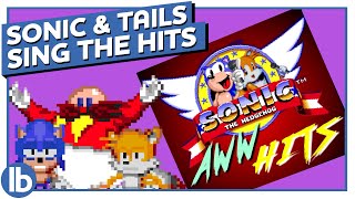 Sonic And Tails Sing The Hits [upl. by Prouty751]