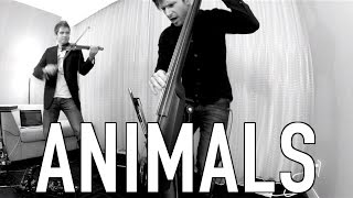 Animals  Maroon 5 Loop Violin Cover String Puppies [upl. by Calv153]