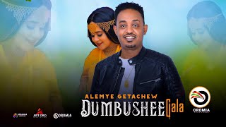 Alemye Getachew DUMBUSHEE GALA Ethiopian Oromo Music 2022 Official Video [upl. by Caye]