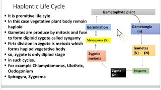 Algae lifecycles Haplontic life cycle Diplontic life cycle of algae lecture no 11 urdulectures [upl. by Pieter693]