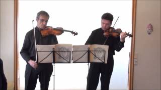 Bach concerto for Two Violins in D minor BWV 1043 [upl. by Whall]