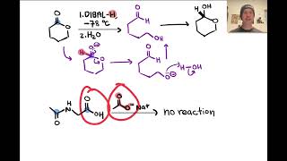 Acylations of Nucleophiles  LTQ 71 Spring 2024 [upl. by Kizzee]