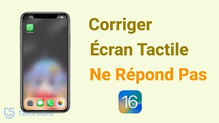 Comment réparer lécran tactile iPhone Ne Répond Pas après la mise à jour iOS 1817 [upl. by Niraj393]