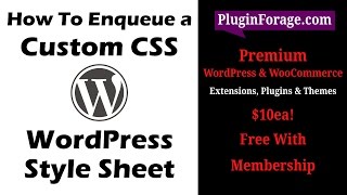 How to Enqueue Custom CSS Styles in WordPress [upl. by Adnoyek409]