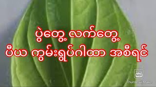 ပွဲတွေ့ လက်တွေ့ ပီယ ကွမ်းရွပ်ဂါထာ အစီရင်astrology [upl. by Nitaj]