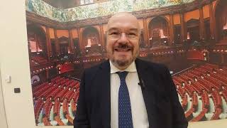 Senato il caso Dafne Musolino intervista a Enrico Borghi [upl. by China]