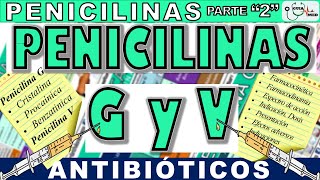 PENICILINA G BENZATÍNICA PROCAÍNICA SÓDICA Y PENICILINA V  GuiaMed [upl. by Annelak]