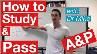 How to study and pass Anatomy amp Physiology [upl. by Yalahs]