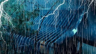 Calming Thunder and Rainstorm Sounds on Tin Roof for Deep Sleep [upl. by Minnnie311]