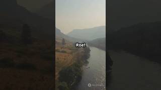 Roe river facts Worlds smallest river factsofuniverse viralvideo river trendingshorts [upl. by Suellen]