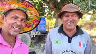 Festa do Carreiro e Gado de Luxo em Olivença AL nordeste [upl. by Pantheas]