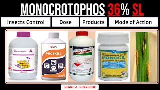 Monocrotophos 36 SL  Monocrotophos Insecticide  Uses  Dose  For which Insects  Mode of Action [upl. by Bernat]