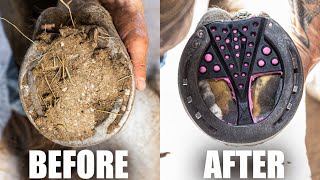 Satisfying Full Horse Hoof Restoration  4K FARRIER ASMR [upl. by Norwood683]