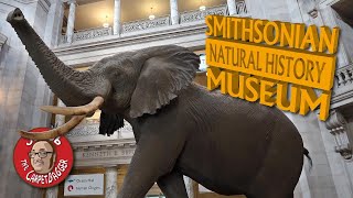 Smithsonian Museum of Natural History  Full Tour [upl. by Ultima409]