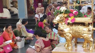 Pradosham Live  2nd April 2019  Rathnagiriswarar Temple [upl. by Seena489]