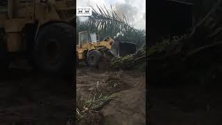 Way too easy 😱😱😱😱 automobile letmetellyouwhathappen expresident excavator jcb [upl. by Yajnas811]