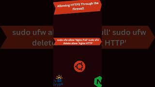 Install Free SSL Certificate with Lets Encrypt on NGINX Ubuntu 2204 free ssl certbot encrypt [upl. by Jolyn]