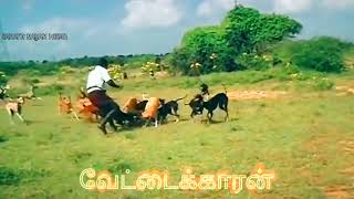 😈🔥🐕‍🦺🐇 rabbit hunting chippiparai dogs kannidogs vettaistatus 👿👿💯💯 [upl. by Cocke]