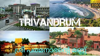 Trivandrum WhatsApp status  Thiruvananthapuram  Mass  1080p  HD  Kochi  4K  2K [upl. by Neilson]