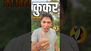 Kukur Ko Bihe Bhadau Lagyo  🤣🤪😵  Gaunle ManXe [upl. by Llenral]