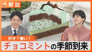 チョコミントの季節到来！韓国でブーム？新大久保・ソウルで調査【Nスタ解説】｜TBS NEWS DIG [upl. by Cannice405]