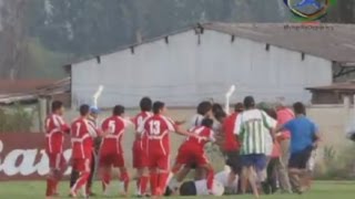 Referee attacked in football brawl in Chile [upl. by Yeclehc]