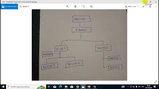 CREAR ORGANIGRAMAS [upl. by Searle]