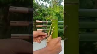 Bamboo Trappel Soot Gun👈👉 [upl. by Stanwinn]