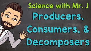 Producers Consumers and Decomposers  Ecosystems [upl. by Tyoh]