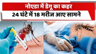 Noida Dengue Cases  नोएडा में डेंगू का कहर पिछले 24 घंटे में मिले 18 मरीज [upl. by Okiman]