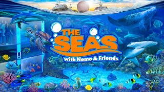 Zoo Tours The Seas with Nemo amp Friends  EPCOT FULL TOUR [upl. by Acinhoj504]