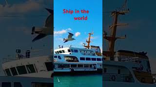 COMING IN THE PORT youtubeshorts youtubevideo shotrs shipping subscribe travel ship ocean [upl. by Nelrah31]