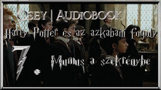 Harry Potter és az azkabani fogoly hangoskönyv remake  7 fejezet [upl. by Clower738]