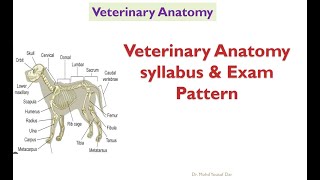 Syllabus of veterinary anatomy BVSc amp AHexam pattern first year BVSc and AH [upl. by Fassold942]