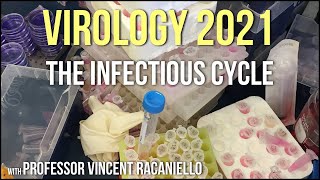 Virology Lectures 2021 2  The Infectious Cycle [upl. by Hannaoj]