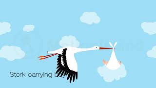 Flying Stork Animation with Baby  Footage amp After Effects Animation 👶 [upl. by Iggep974]