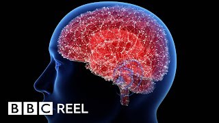 The simple brain training that can help you lose weight  BBC REEL [upl. by Melac]