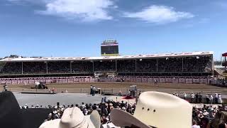 Calgary stampede rodeo sportsnet [upl. by Savil]