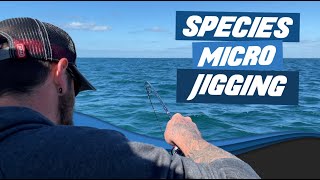 Micro Jigging Species Hunt  Lure Fishing for Species Littlehampton South Coast of England [upl. by Hooge]