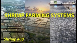 INTENSIFICATION OF SHRIMP FARMING amp CARRYING CAPACITY 08  FISH [upl. by Lukin]