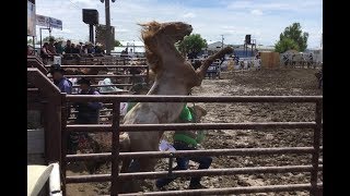 One TOUGH Wild Horse Race  2018 Miles City Bucking Horse Sale  3rd Race [upl. by Saire]