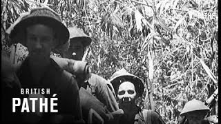 With The Australians In New Guinea 1943 [upl. by Shaefer50]